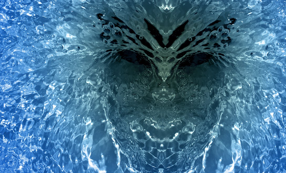 양변기에서 발견한 얼굴