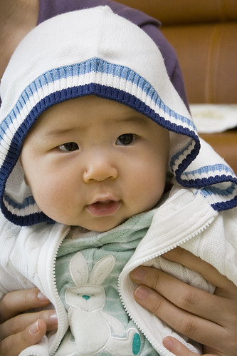 이미지 모자이크 툴