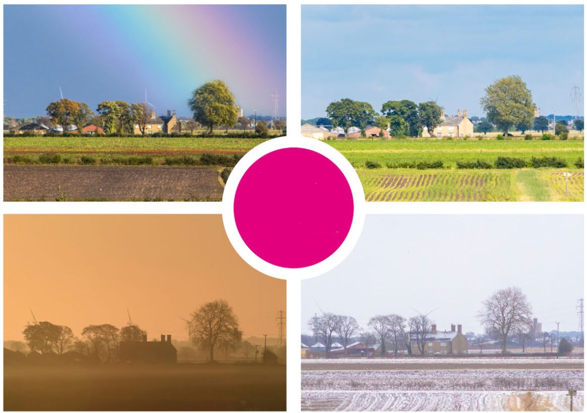 같은 장소에서 사계절을 담는 사진 프로젝트