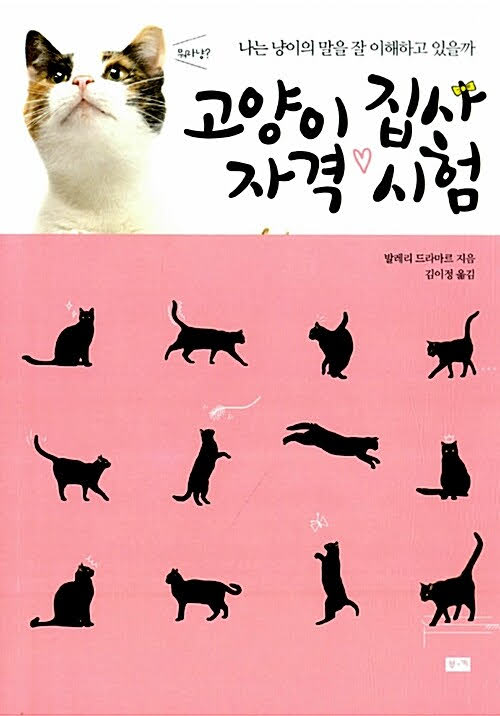 고양이 집사 자격 시험