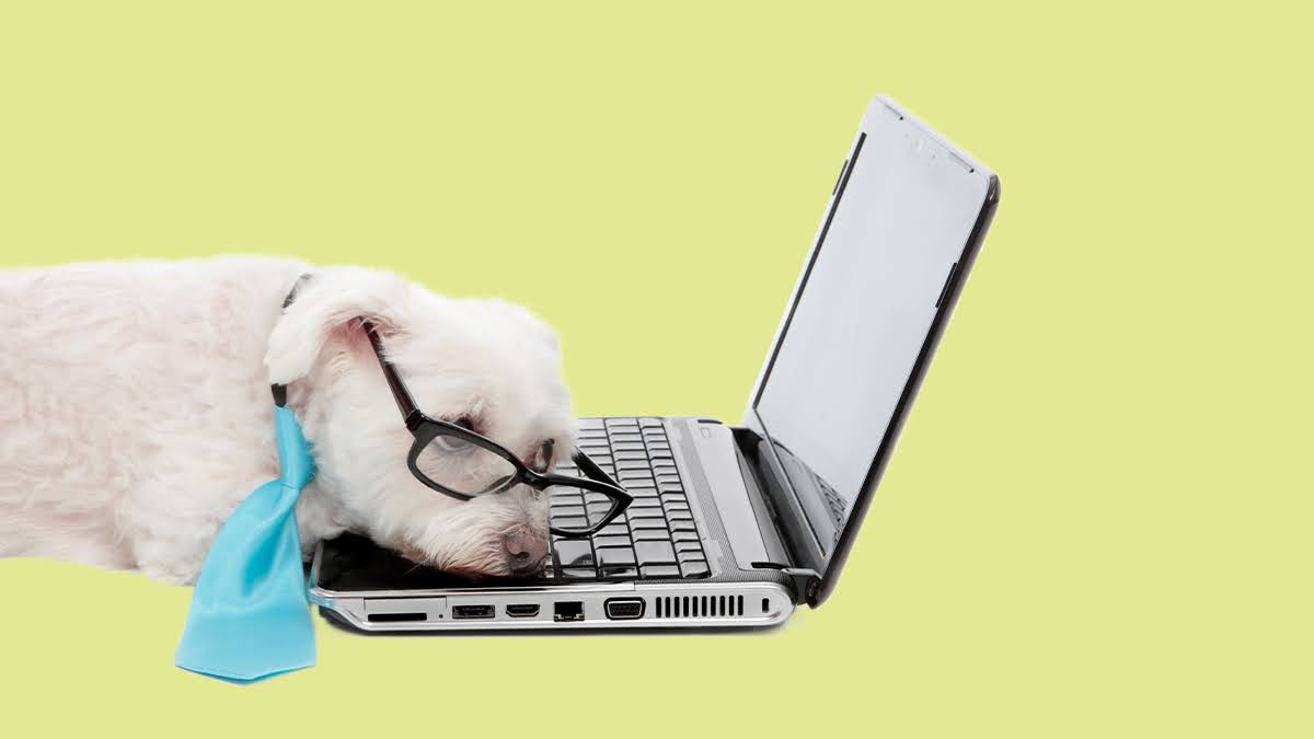 회신 없는 사람에 후속 조치하는 방법