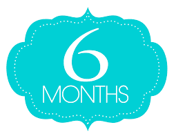 네번째 정기 검사 결과는 좋았습니다