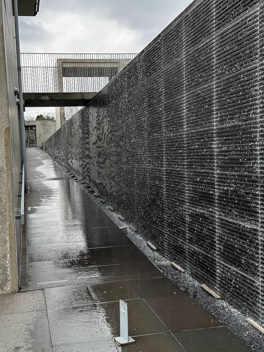 2024년 제주 (2월 8일 ~ 11일)