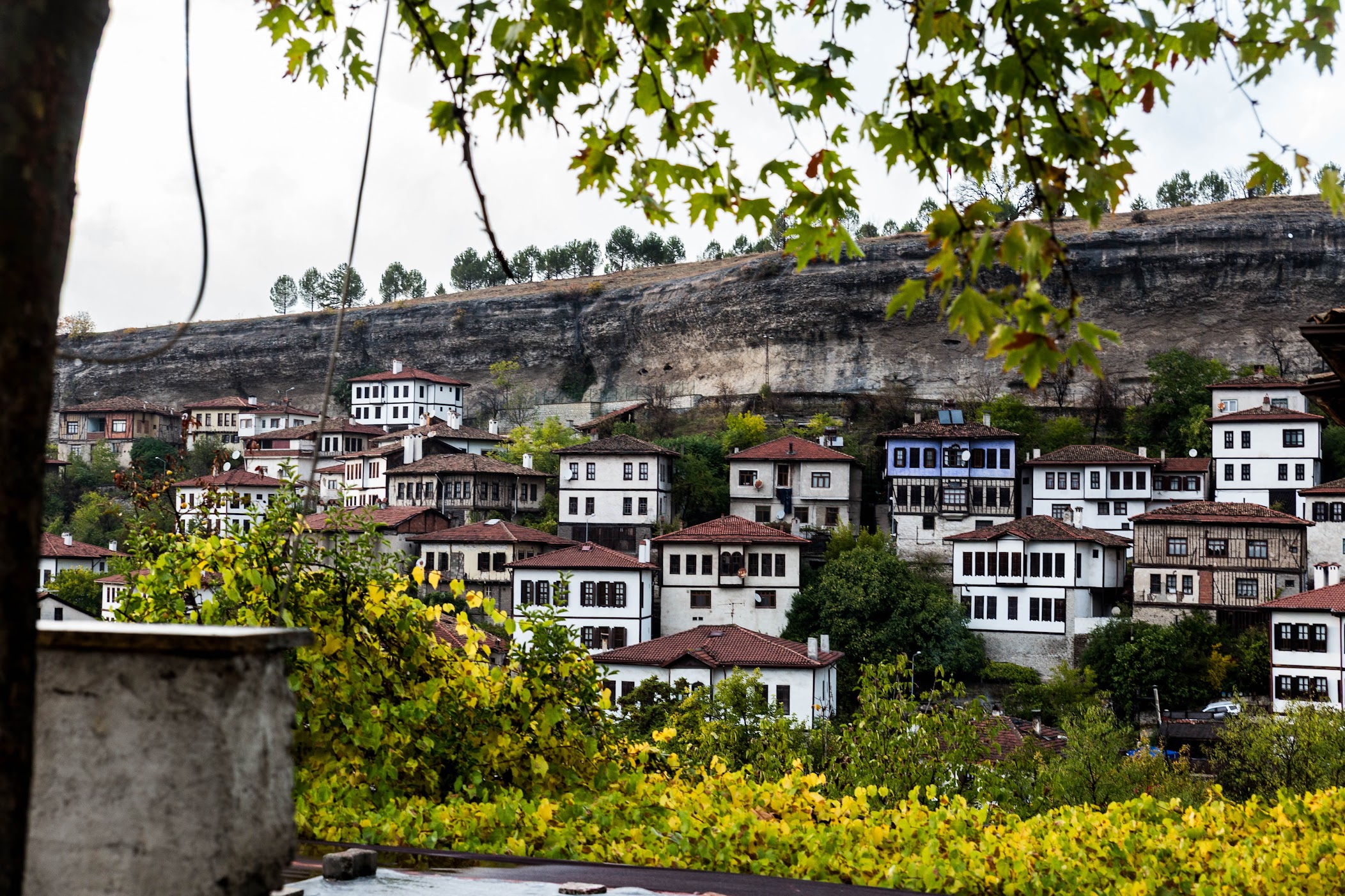 사프란볼루 첫째날 – 그림 속의 집으로